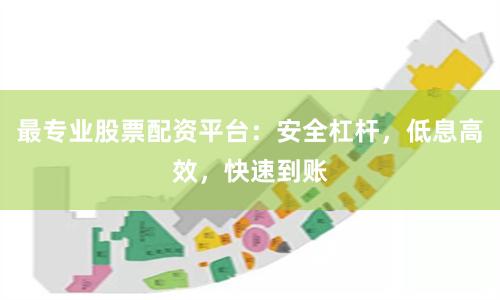 最专业股票配资平台:安全杠杆,低息高效,快速到账