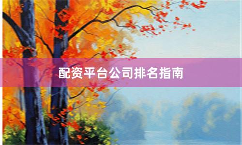 配资平台公司排名指南