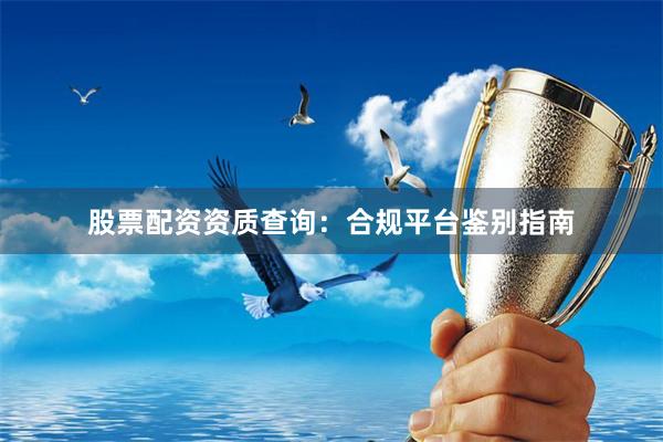 股票配资资质查询：合规平台鉴别指南
