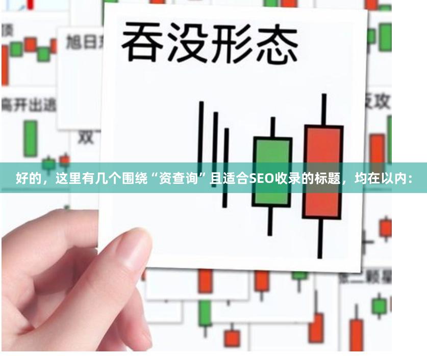 好的，这里有几个围绕“资查询”且适合SEO收录的标题，均在以内：