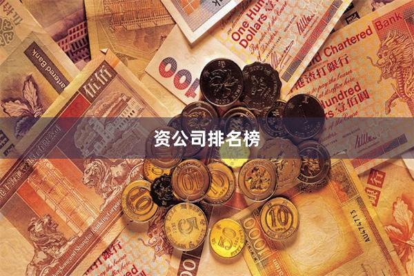 资公司排名榜